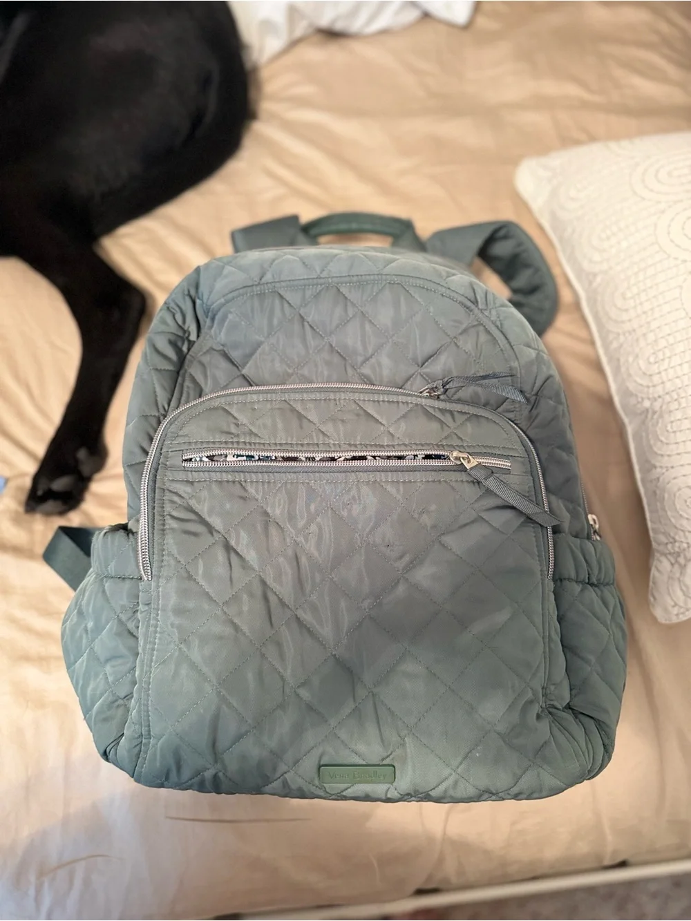 Vera Bradley Quilted Sage Green Backpack